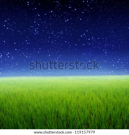 Green rice fields and Star night