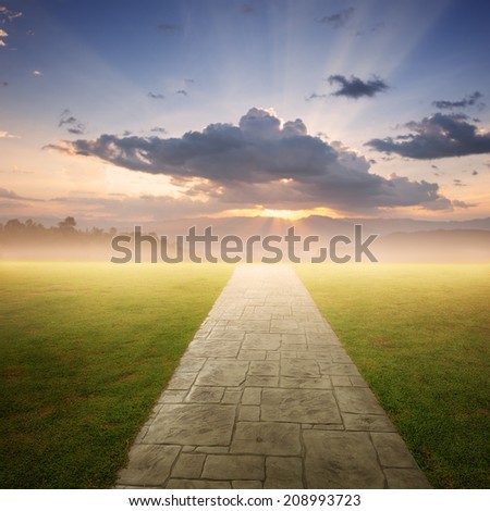 Concrete road in Grass fields and Sunset