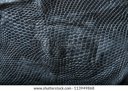 wild snake skin pattern in many style.