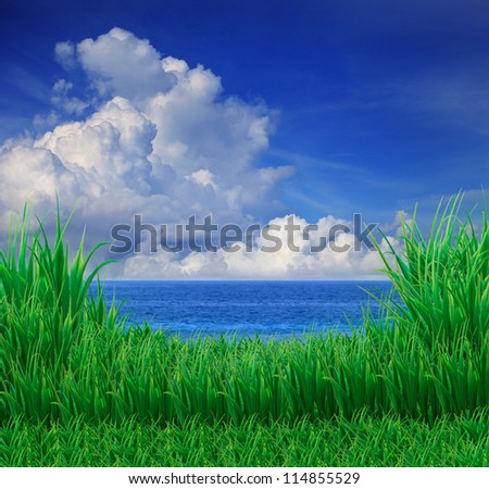 green grass field and sea sky white cloud