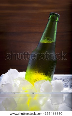 lager beer in ice cooler beverage theme