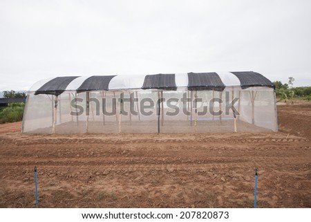 net greenhouse cover modern clean and good vegetable and new alternative agricultural