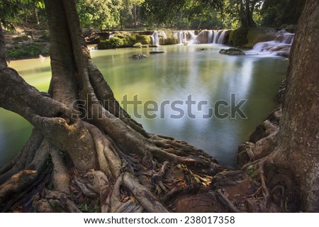 beautiful tree root foreground and waterfalls in pure deep forest of thailand national park