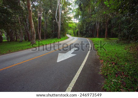 asphalt road in deep forest use as land transport in nature wild
