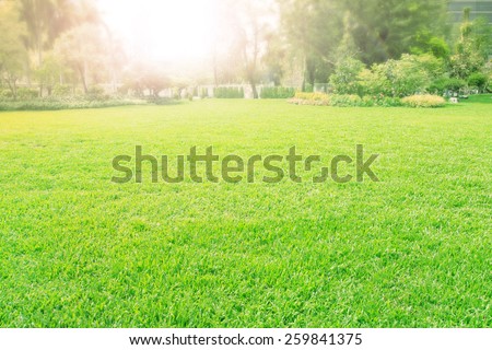vibrant of playground,meadow ,green grass field