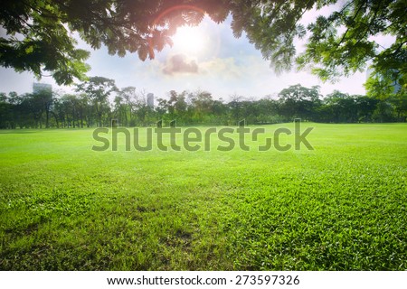 sun light over sky in beautiful green grass field of public park