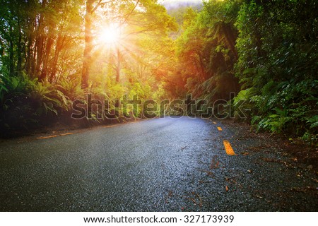 sun light in moisture mountain rain forest perspective asphalt road