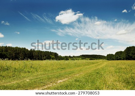 field landscape sky and trees
