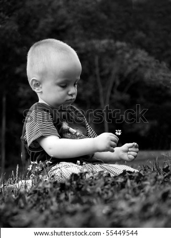 Little florist, portrait of a small boy with a daisy in his hand
