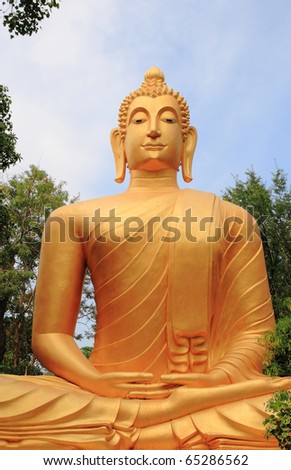 A Buddha Meditating