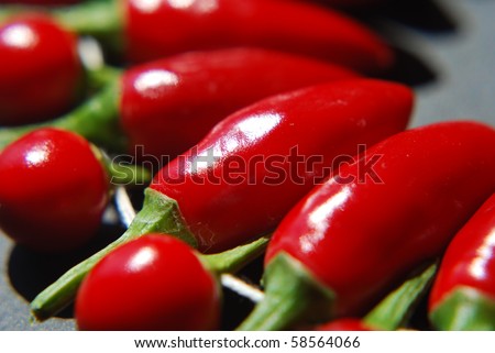 Hot red chilly close-up