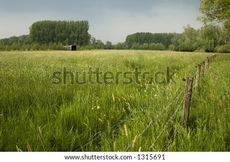 cabin in the field