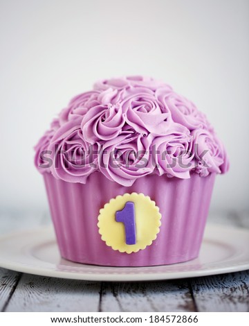 Giant Cupcake Baby\'s First  Birthday Smash Cake