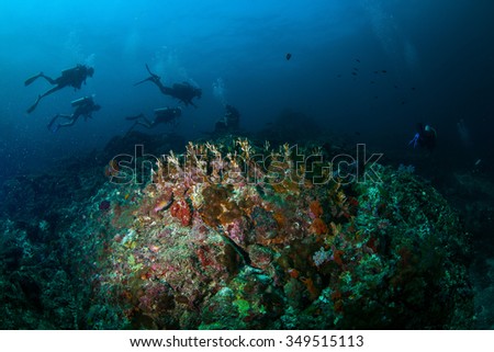 Underwater Blue Sea and scuba diver near dive site