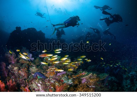 Underwater Blue Sea and scuba diver diving with school fish