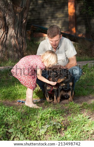 The girl in a summer dress feeds two dogs terriers under supervision of the father in a light shirt
