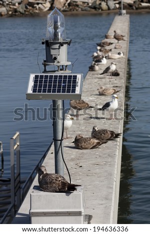 Solar Panel on Marine Lantern Daytime Marina