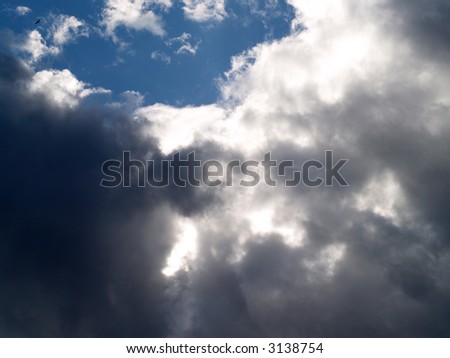 Blue sky amidst stormy clouds with bird flying