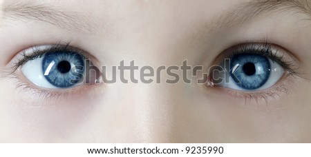 macro shot of children\'s blue eyes