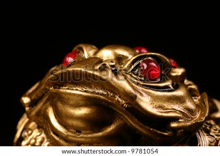 golden feng shui frog for luck and money