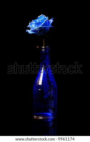 Blue Rose Background on Blue Rose In A Blue Vase On Black Background Stock Photo 9961174