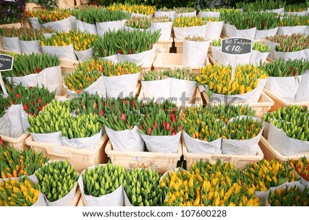 Beautiful tulips stall in Amsterdam