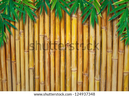 Background Texture Of A Bamboo Fence  with bamboo-leaves
