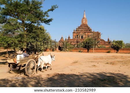 Bagan, Myanmar 23 January 2010: Farmer on a cow-drawn carriage in front of Sulamani temple at the archaeological site of Bagan on Myanmar