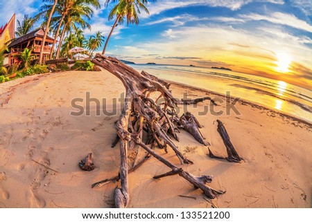 Tropical beach at beautiful sunset in fish-eye lense. Nature background
