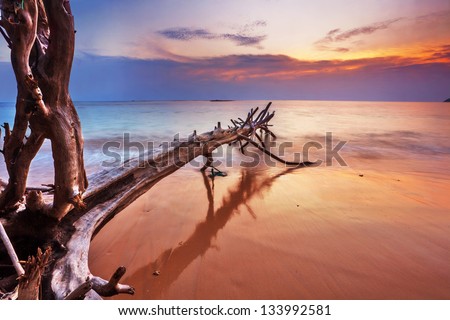 Tropical beach at beautiful sunset Nature background Tropical beach at beautiful sunset Nature background