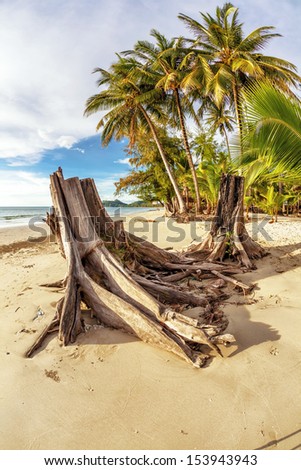 Beautiful tropical beach with  sea view, clean water & blue sky. Nature background