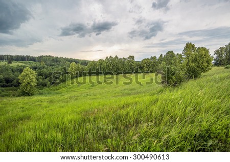 Summer field under overcast sky with clouds