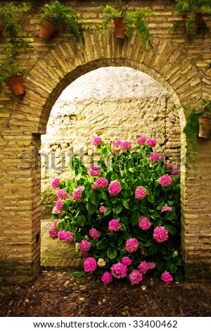 Bush with flowers growing in the arch in the wall. Cordoba. Spain