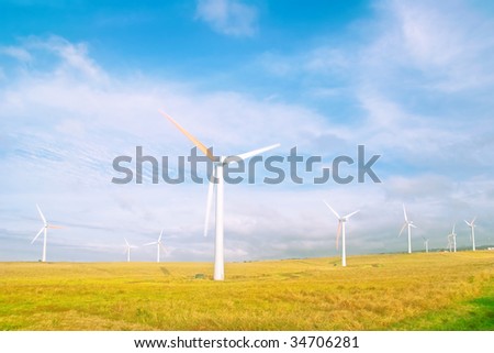 Windmills in a field in soft light. Big island. Hawaii. USA