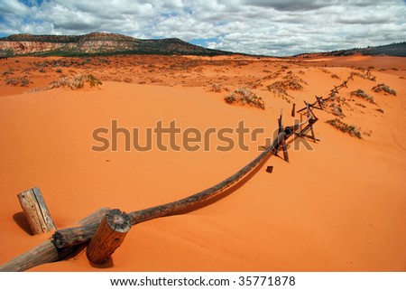 In the Coral Pink Sand Dune National park. Utah. USA