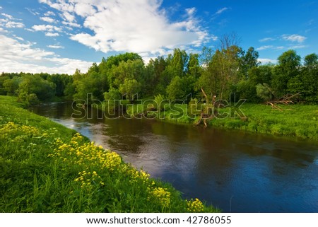 Summer river