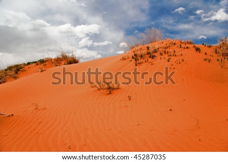In the Coral Pink Sand Dune National park. Utah. USA