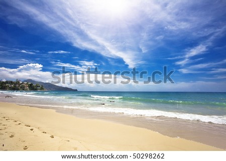 Exotic Tropical Beach