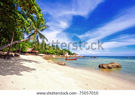 Exotic Tropical Beach