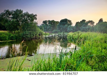 Summer landscape with river on sunset background