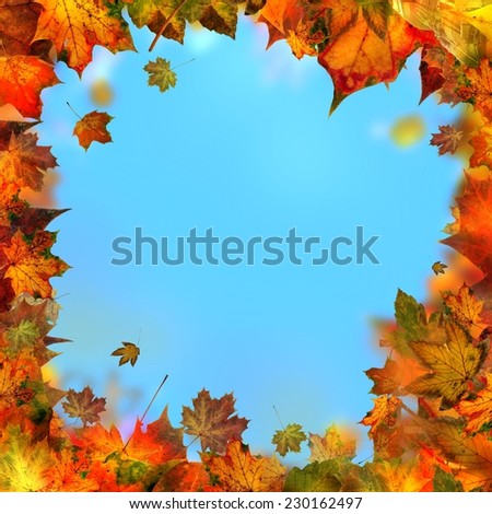 Red brown and yellow maple leaves, autumnal frame, golden autumn background