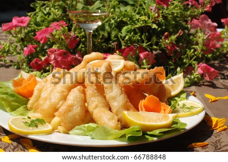 http://image.shutterstock.com/display_pic_with_logo/60856/60856,1291726009,58/stock-photo-pike-perch-orly-style-delicious-pike-perch-fish-66788848.jpg