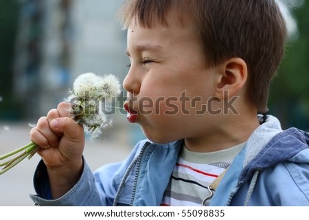 Boy, having blinked, strongly blows on dandelions which holds in hand./ Ð¡hildhood.