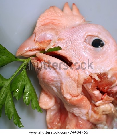 stock-photo-cut-off-chicken-head-with-a-sprig-of-parsley-in-its-beak-close-up-the-slogan-in-support-of-74484766.jpg