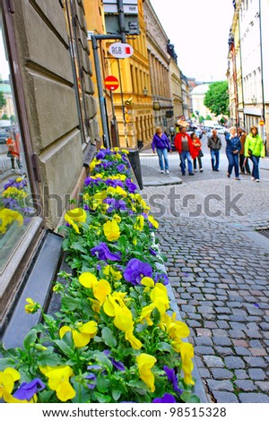STOCKHOLM - JUNE 11: The Old Town (Gamla Stan) on June 11, 2009 in Stockholm. Flowers like colors national flag of Sweden. Gamla Stan is one of the best preserved medieval city centers in Europe.