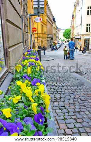STOCKHOLM - JUNE 11: The Old Town (Gamla Stan) on June 11, 2009 in Stockholm. Flowers like colors national flag of Sweden. Gamla Stan is one of the best preserved medieval city centers in Europe.