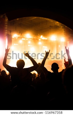Shot of a live crowd at a concert