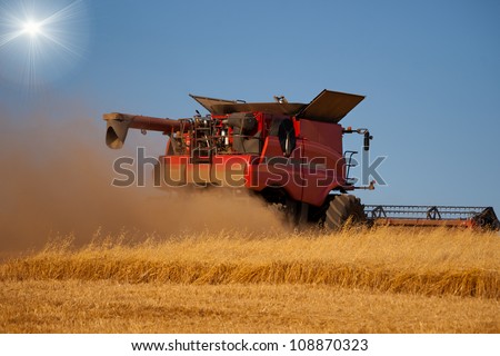 Reaping machine or harvester combine on a wheat field with blue sky and sun behind it