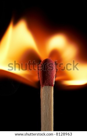 close up macro of a match sticks