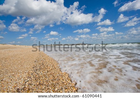 Seashore landscape with shells and white clouds